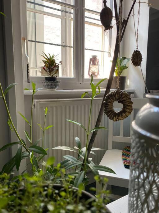 Playground Apartment Cluj-Napoca Luaran gambar